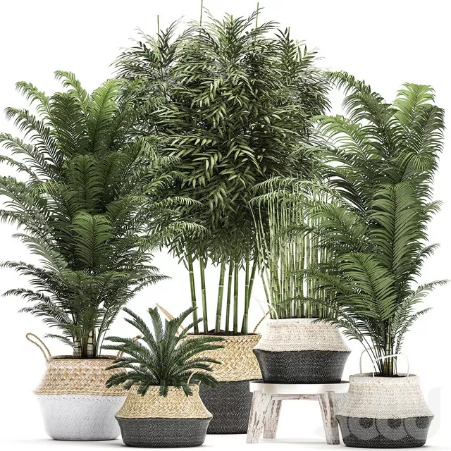 PLANTS – INDOOR – 3D MODELS – FREE DOWNLOAD – 16880 PLANTS – INDOOR – 3D MODELS – FREE DOWNLOAD – 16880