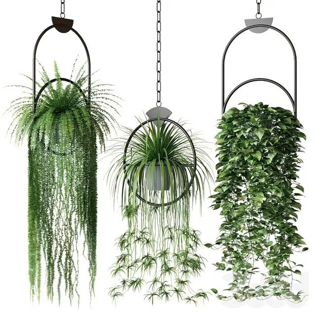 PLANTS – INDOOR – 3D MODELS – FREE DOWNLOAD – 16881 PLANTS – INDOOR – 3D MODELS – FREE DOWNLOAD – 16881