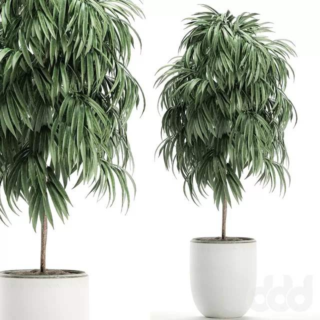 PLANTS – INDOOR – 3D MODELS – FREE DOWNLOAD – 16883 PLANTS – INDOOR – 3D MODELS – FREE DOWNLOAD – 16883