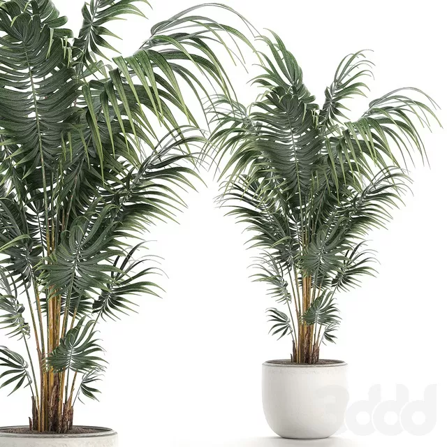PLANTS – INDOOR – 3D MODELS – FREE DOWNLOAD – 16886 PLANTS – INDOOR – 3D MODELS – FREE DOWNLOAD – 16886