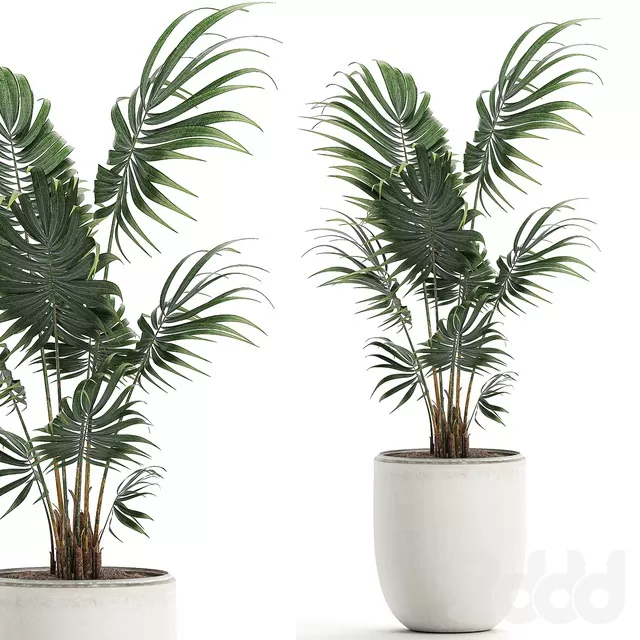 PLANTS – INDOOR – 3D MODELS – FREE DOWNLOAD – 16887 PLANTS – INDOOR – 3D MODELS – FREE DOWNLOAD – 16887
