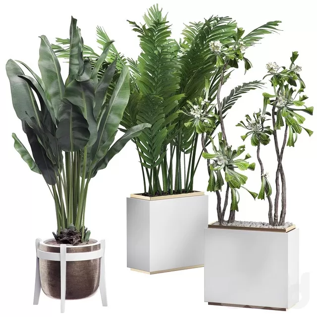 PLANTS – INDOOR – 3D MODELS – FREE DOWNLOAD – 16889 PLANTS – INDOOR – 3D MODELS – FREE DOWNLOAD – 16889