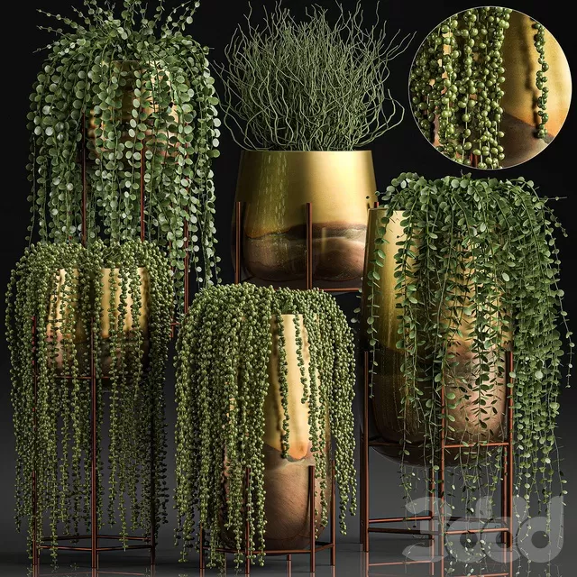 PLANTS – INDOOR – 3D MODELS – FREE DOWNLOAD – 16895 PLANTS – INDOOR – 3D MODELS – FREE DOWNLOAD – 16895