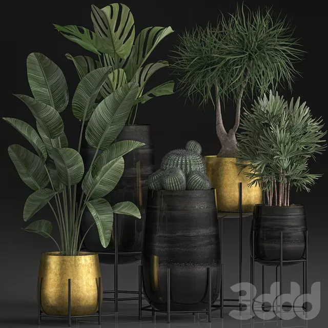 PLANTS – INDOOR – 3D MODELS – FREE DOWNLOAD – 16896 PLANTS – INDOOR – 3D MODELS – FREE DOWNLOAD – 16896
