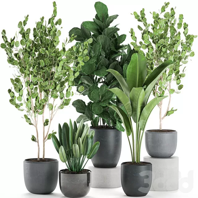 PLANTS – INDOOR – 3D MODELS – FREE DOWNLOAD – 16900 PLANTS – INDOOR – 3D MODELS – FREE DOWNLOAD – 16900