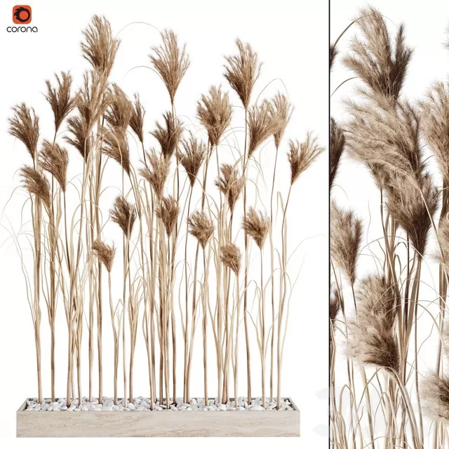 PLANTS – INDOOR – 3D MODELS – FREE DOWNLOAD – 16901 PLANTS – INDOOR – 3D MODELS – FREE DOWNLOAD – 16901