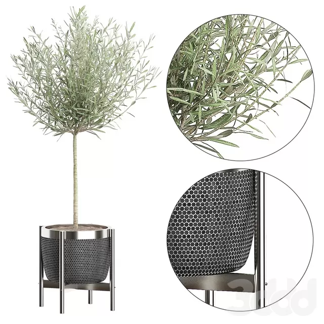 PLANTS – INDOOR – 3D MODELS – FREE DOWNLOAD – 16904 PLANTS – INDOOR – 3D MODELS – FREE DOWNLOAD – 16904