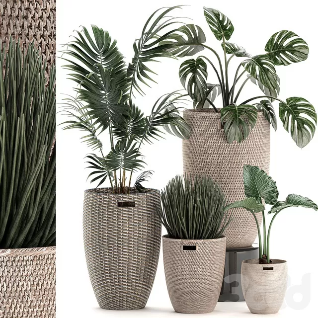 PLANTS – INDOOR – 3D MODELS – FREE DOWNLOAD – 16913 PLANTS – INDOOR – 3D MODELS – FREE DOWNLOAD – 16913
