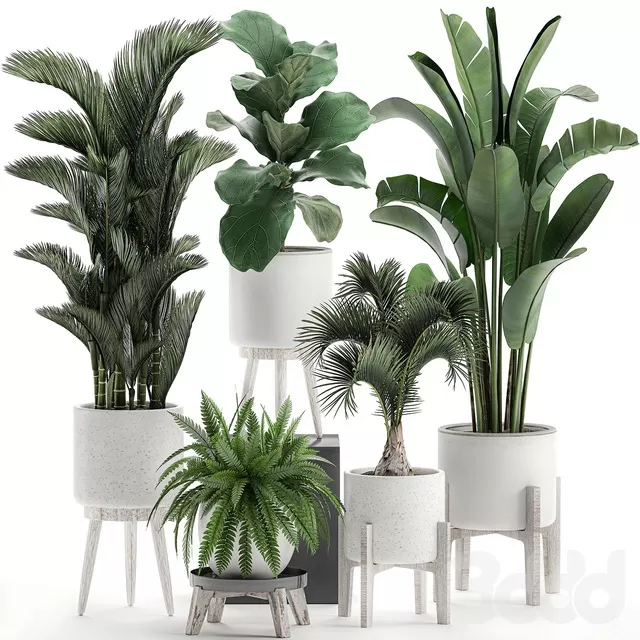 PLANTS – INDOOR – 3D MODELS – FREE DOWNLOAD – 16915 PLANTS – INDOOR – 3D MODELS – FREE DOWNLOAD – 16915