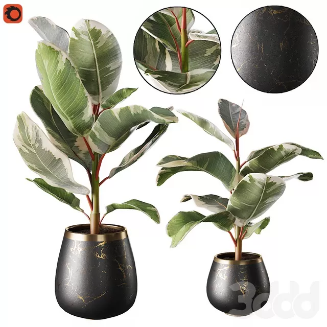 PLANTS – INDOOR – 3D MODELS – FREE DOWNLOAD – 16916 PLANTS – INDOOR – 3D MODELS – FREE DOWNLOAD – 16916