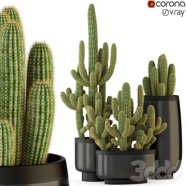 PLANTS – INDOOR – 3D MODELS – FREE DOWNLOAD – 16919 PLANTS – INDOOR – 3D MODELS – FREE DOWNLOAD – 16919