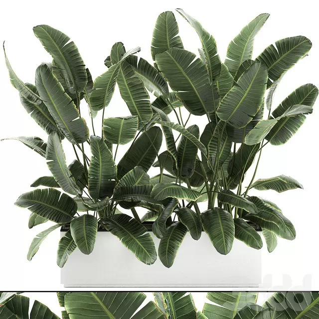 PLANTS – INDOOR – 3D MODELS – FREE DOWNLOAD – 16921 PLANTS – INDOOR – 3D MODELS – FREE DOWNLOAD – 16921