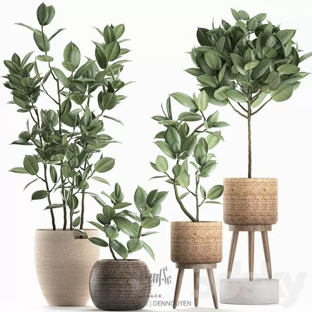 PLANTS – INDOOR – 3D MODELS – FREE DOWNLOAD – 16928 PLANTS – INDOOR – 3D MODELS – FREE DOWNLOAD – 16928