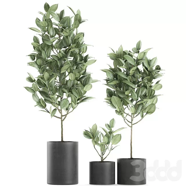PLANTS – INDOOR – 3D MODELS – FREE DOWNLOAD – 16930 PLANTS – INDOOR – 3D MODELS – FREE DOWNLOAD – 16930
