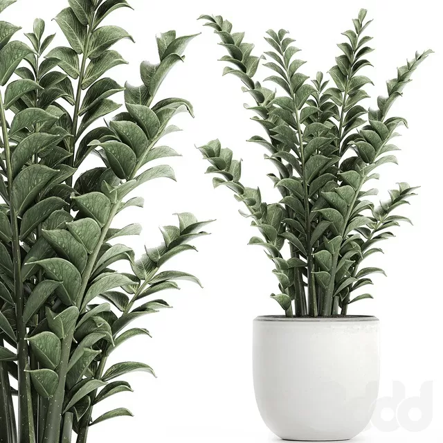 PLANTS – INDOOR – 3D MODELS – FREE DOWNLOAD – 16931 PLANTS – INDOOR – 3D MODELS – FREE DOWNLOAD – 16931
