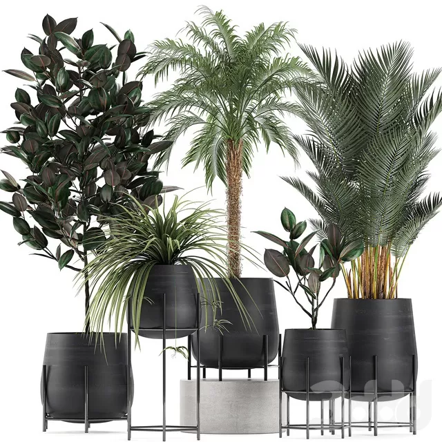 PLANTS – INDOOR – 3D MODELS – FREE DOWNLOAD – 16935 PLANTS – INDOOR – 3D MODELS – FREE DOWNLOAD – 16935