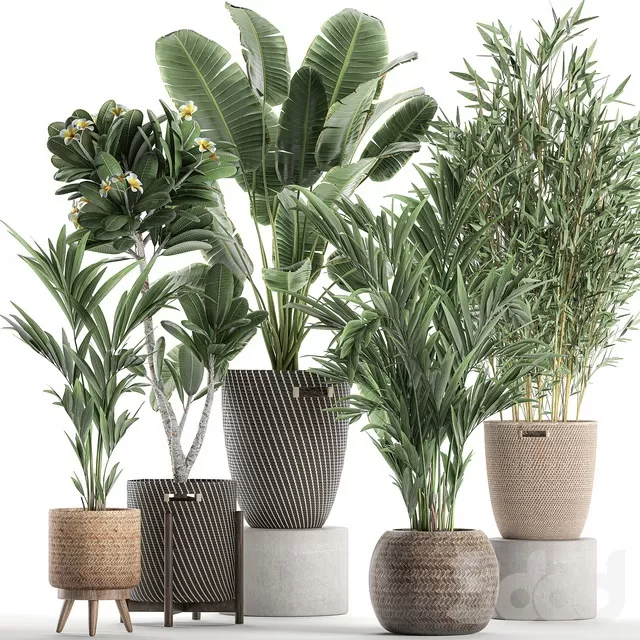 PLANTS – INDOOR – 3D MODELS – FREE DOWNLOAD – 16936 PLANTS – INDOOR – 3D MODELS – FREE DOWNLOAD – 16936