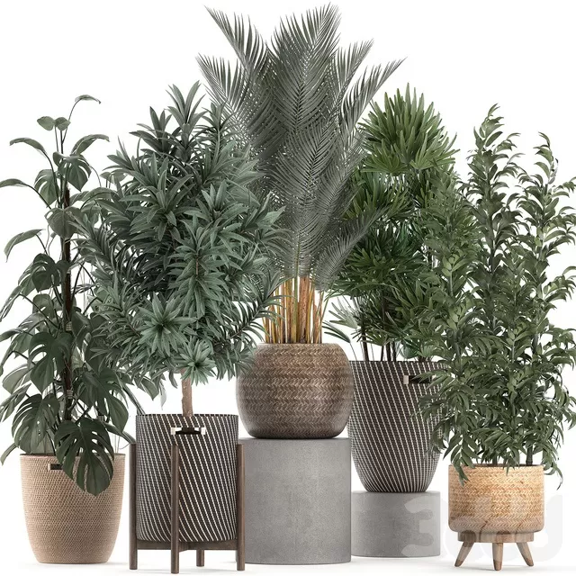 PLANTS – INDOOR – 3D MODELS – FREE DOWNLOAD – 16937 PLANTS – INDOOR – 3D MODELS – FREE DOWNLOAD – 16937