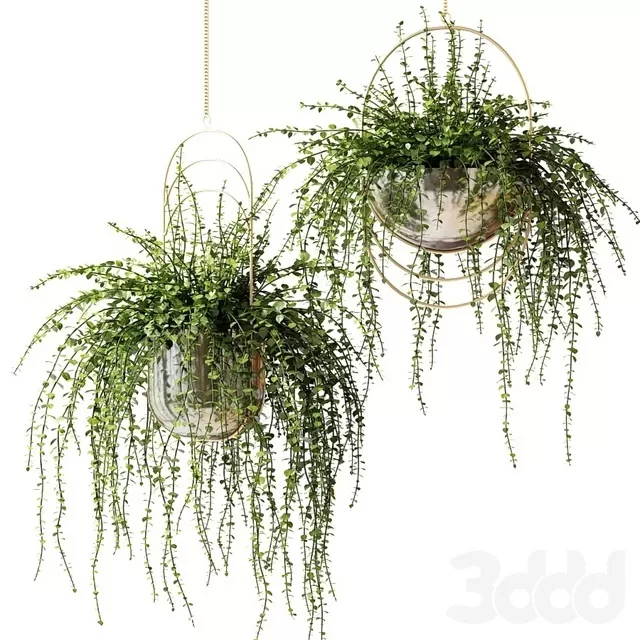 PLANTS – INDOOR – 3D MODELS – FREE DOWNLOAD – 16943 PLANTS – INDOOR – 3D MODELS – FREE DOWNLOAD – 16943