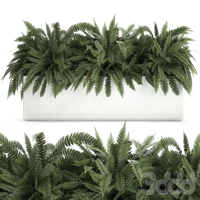 PLANTS – INDOOR – 3D MODELS – FREE DOWNLOAD – 16949 PLANTS – INDOOR – 3D MODELS – FREE DOWNLOAD – 16949