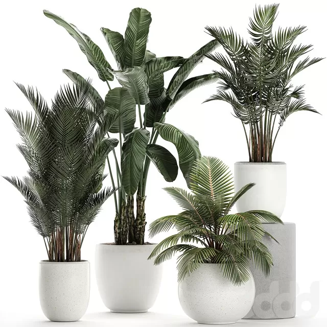 PLANTS – INDOOR – 3D MODELS – FREE DOWNLOAD – 16950 PLANTS – INDOOR – 3D MODELS – FREE DOWNLOAD – 16950