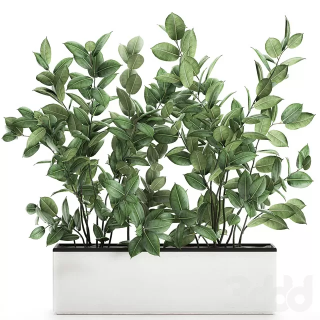PLANTS – INDOOR – 3D MODELS – FREE DOWNLOAD – 16951 PLANTS – INDOOR – 3D MODELS – FREE DOWNLOAD – 16951