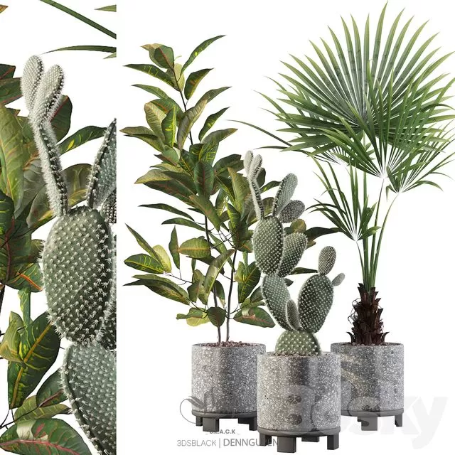 PLANTS – INDOOR – 3D MODELS – FREE DOWNLOAD – 16953 PLANTS – INDOOR – 3D MODELS – FREE DOWNLOAD – 16953