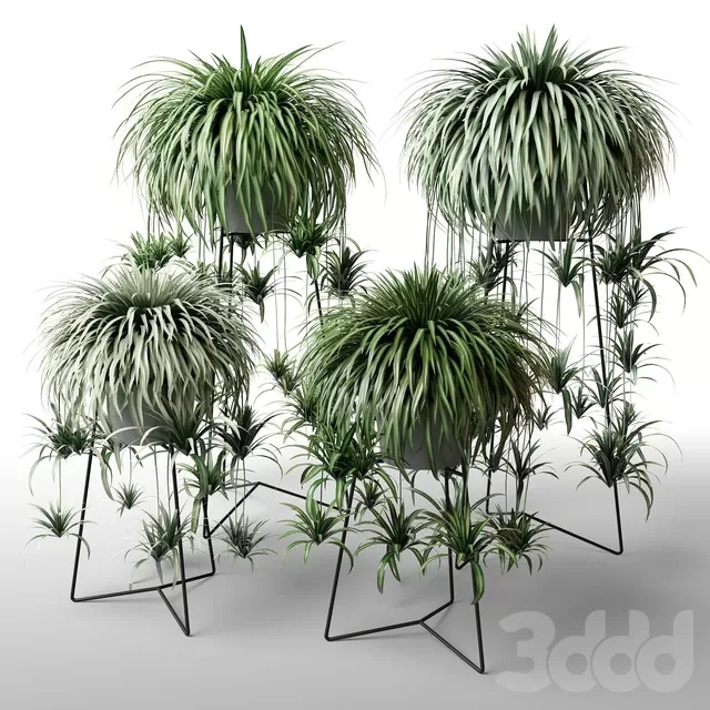 PLANTS – INDOOR – 3D MODELS – FREE DOWNLOAD – 16958 PLANTS – INDOOR – 3D MODELS – FREE DOWNLOAD – 16958