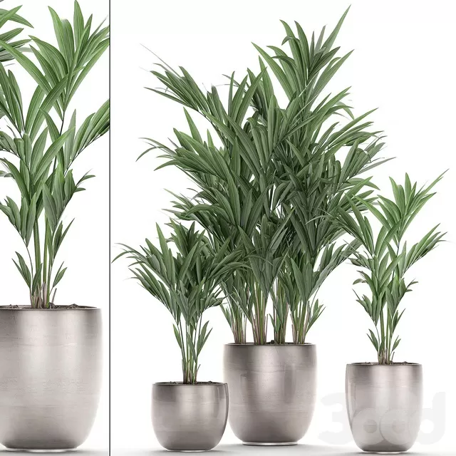 PLANTS – INDOOR – 3D MODELS – FREE DOWNLOAD – 16959 PLANTS – INDOOR – 3D MODELS – FREE DOWNLOAD – 16959