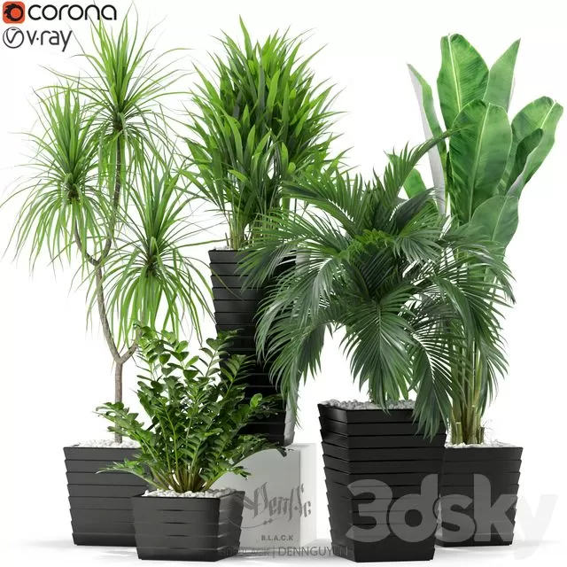 PLANTS – INDOOR – 3D MODELS – FREE DOWNLOAD – 16960 PLANTS – INDOOR – 3D MODELS – FREE DOWNLOAD – 16960