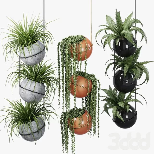 PLANTS – INDOOR – 3D MODELS – FREE DOWNLOAD – 16961 PLANTS – INDOOR – 3D MODELS – FREE DOWNLOAD – 16961