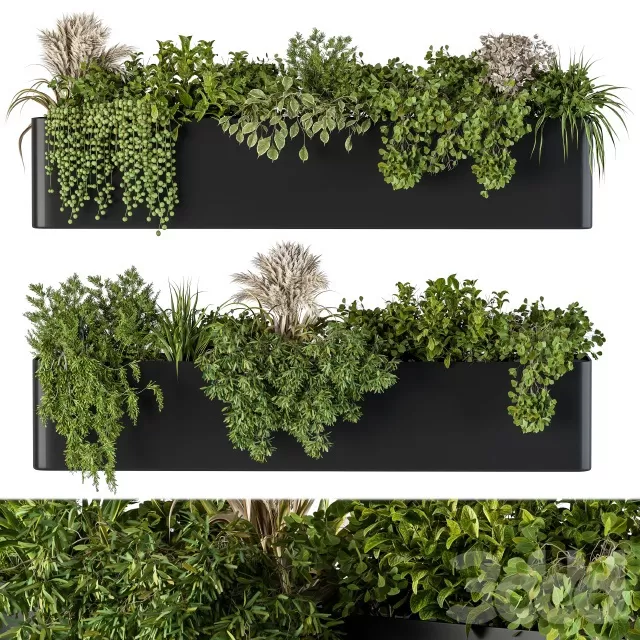 PLANTS – INDOOR – 3D MODELS – FREE DOWNLOAD – 16963 PLANTS – INDOOR – 3D MODELS – FREE DOWNLOAD – 16963