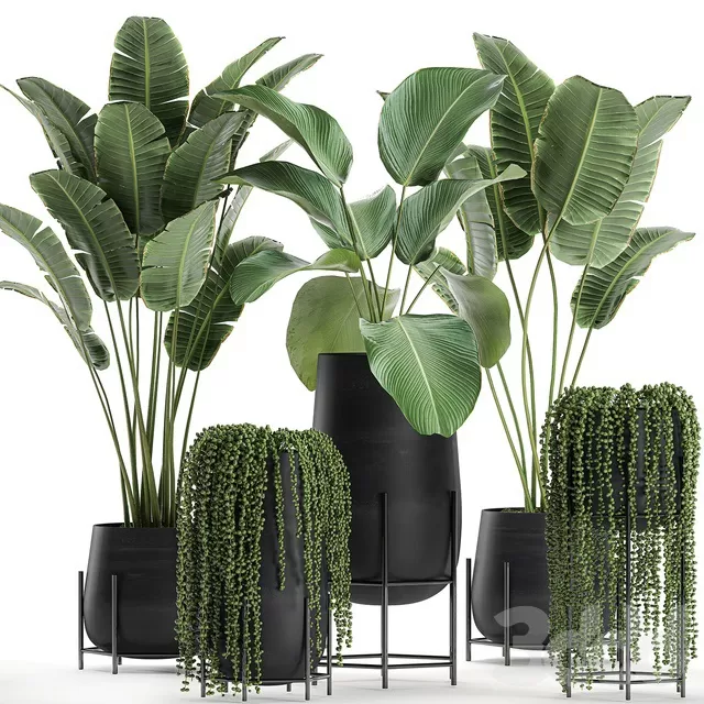 PLANTS – INDOOR – 3D MODELS – FREE DOWNLOAD – 16964 PLANTS – INDOOR – 3D MODELS – FREE DOWNLOAD – 16964