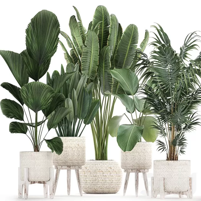 PLANTS – INDOOR – 3D MODELS – FREE DOWNLOAD – 16968 PLANTS – INDOOR – 3D MODELS – FREE DOWNLOAD – 16968