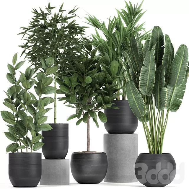 PLANTS – INDOOR – 3D MODELS – FREE DOWNLOAD – 16970 PLANTS – INDOOR – 3D MODELS – FREE DOWNLOAD – 16970