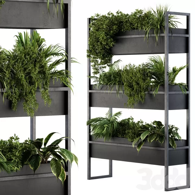 PLANTS – INDOOR – 3D MODELS – FREE DOWNLOAD – 16974 PLANTS – INDOOR – 3D MODELS – FREE DOWNLOAD – 16974