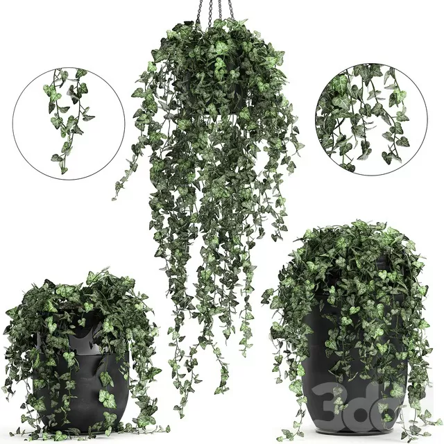 PLANTS – INDOOR – 3D MODELS – FREE DOWNLOAD – 16980 PLANTS – INDOOR – 3D MODELS – FREE DOWNLOAD – 16980