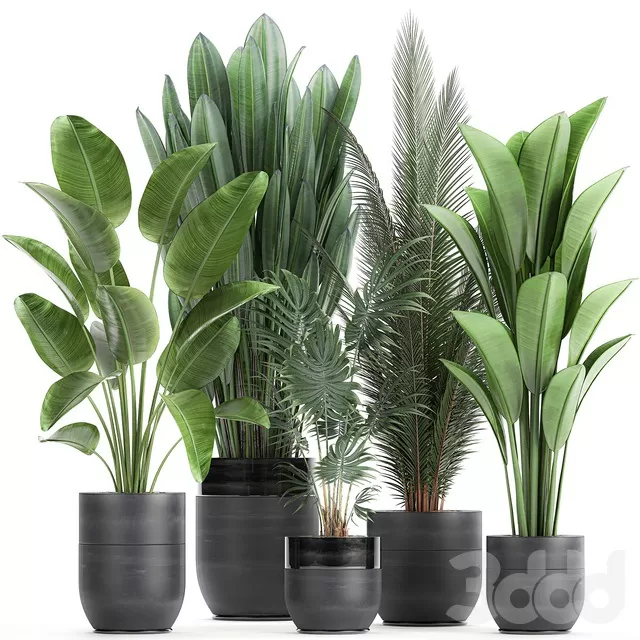 PLANTS – INDOOR – 3D MODELS – FREE DOWNLOAD – 16981 PLANTS – INDOOR – 3D MODELS – FREE DOWNLOAD – 16981