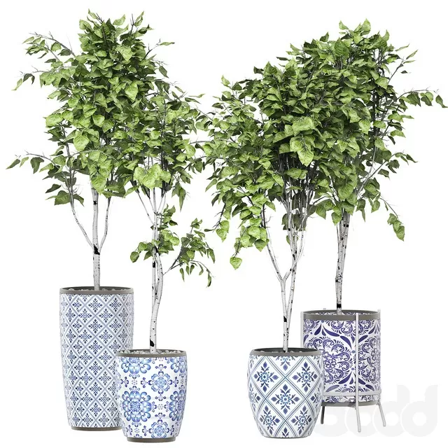 PLANTS – INDOOR – 3D MODELS – FREE DOWNLOAD – 16986 PLANTS – INDOOR – 3D MODELS – FREE DOWNLOAD – 16986