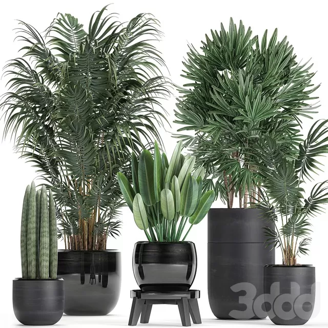 PLANTS – INDOOR – 3D MODELS – FREE DOWNLOAD – 16987 PLANTS – INDOOR – 3D MODELS – FREE DOWNLOAD – 16987