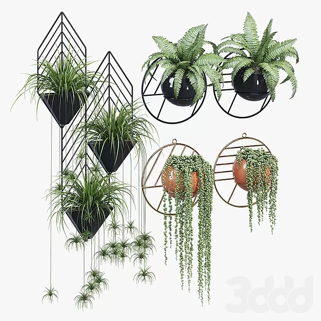 PLANTS – INDOOR – 3D MODELS – FREE DOWNLOAD – 16993 PLANTS – INDOOR – 3D MODELS – FREE DOWNLOAD – 16993