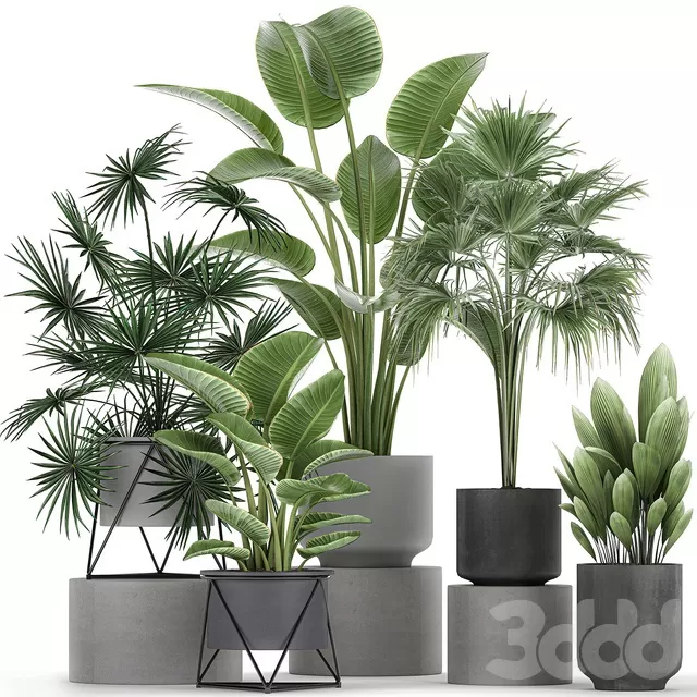 PLANTS – INDOOR – 3D MODELS – FREE DOWNLOAD – 16997 PLANTS – INDOOR – 3D MODELS – FREE DOWNLOAD – 16997