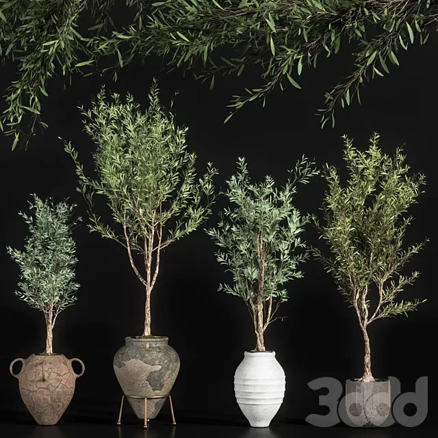 PLANTS – INDOOR – 3D MODELS – FREE DOWNLOAD – 17003 PLANTS – INDOOR – 3D MODELS – FREE DOWNLOAD – 17003