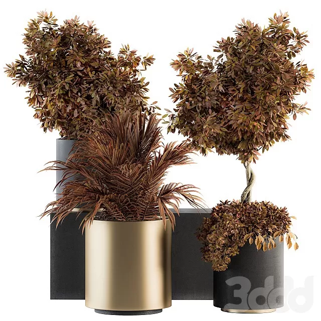 PLANTS – INDOOR – 3D MODELS – FREE DOWNLOAD – 17005 PLANTS – INDOOR – 3D MODELS – FREE DOWNLOAD – 17005