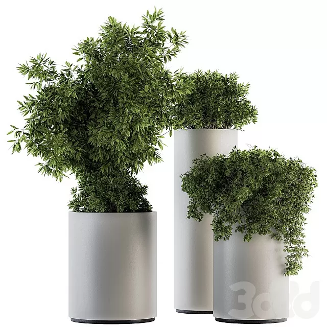 PLANTS – INDOOR – 3D MODELS – FREE DOWNLOAD – 17006 PLANTS – INDOOR – 3D MODELS – FREE DOWNLOAD – 17006