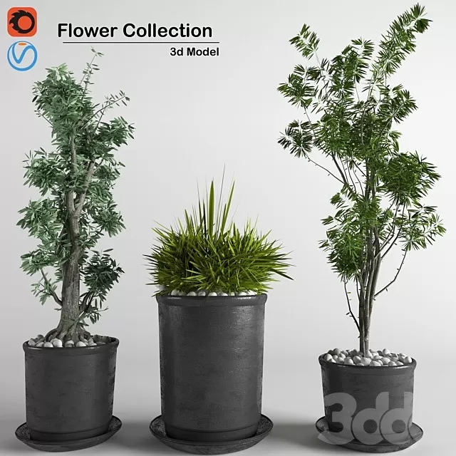 PLANTS – INDOOR – 3D MODELS – FREE DOWNLOAD – 17008 PLANTS – INDOOR – 3D MODELS – FREE DOWNLOAD – 17008