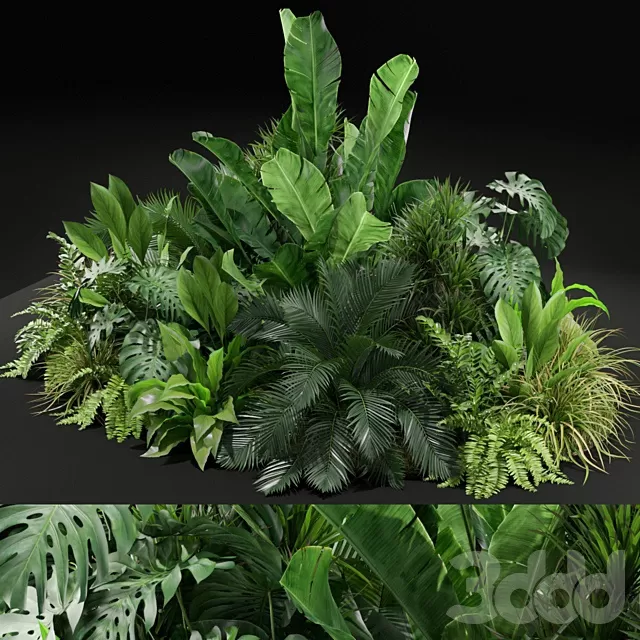 PLANTS – INDOOR – 3D MODELS – FREE DOWNLOAD – 17022