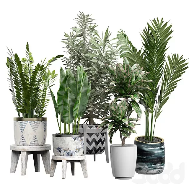 PLANTS – INDOOR – 3D MODELS – FREE DOWNLOAD – 17034