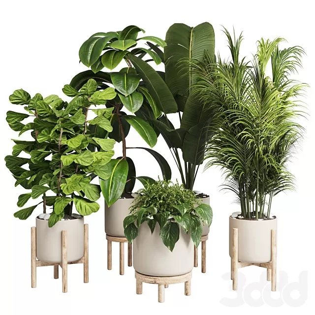 PLANTS – INDOOR – 3D MODELS – FREE DOWNLOAD – 17035