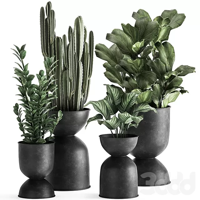 PLANTS – INDOOR – 3D MODELS – FREE DOWNLOAD – 17038